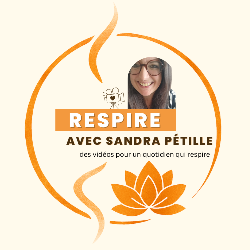 chaine youtube petille world