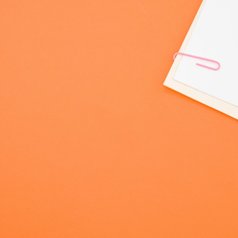 newsletter petille world